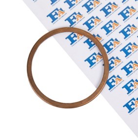 FA1 101-958 Auspuffdichtung BMW X5