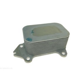 AUTOMEGA 120061010 Bremsschlauch FIAT DUCATO Pritsche/Fahrgestell (230) 2.5 84 PS Diesel