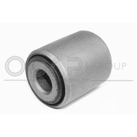 OCAP 1216149 Silentblock de brazo de suspensión MINI Paceman (R61) 1.6 116 cv Motor otto
