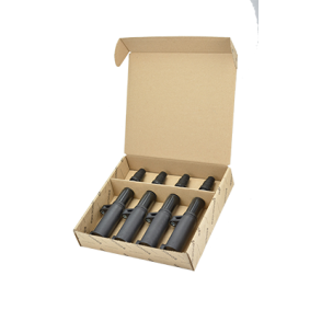 EFI AUTOMOTIVE 156200P Zündspule RENAULT SCENIC 2 (JM0/1) 2.0 135 PS Otto