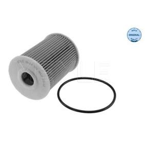 Köp Oljefilter av MEYLE 16-14 322 0006 till det låga priset 141,01&nbsp;kr