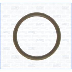 Ansaugkrümmer-Dichtung 16016100 RENAULT RAFALE von AJUSA