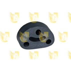 UNIGOM 165141 Supporto marmitta FIAT DUCATO Furgonato (244) 2.0 97 CV Motore a ciclo otto