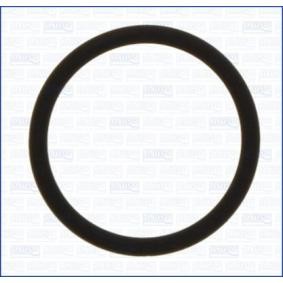 Ansaugkrümmer-Dichtung 16519200 JEEP WRANGLER von AJUSA