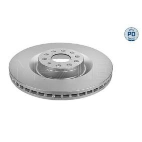 MEYLE 183 521 1010/PD Bremsscheiben VW Passat Limousine (3C2) 3.6 280 PS Otto