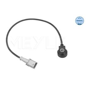 Köp Gasfjäder till baklucka av MEYLE 240 910 0027 till det låga priset 203,29&nbsp;kr