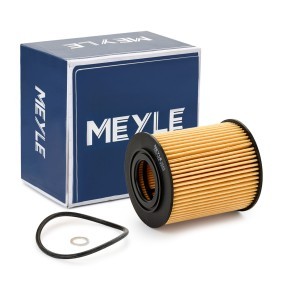 Köp Oljefilter av MEYLE 300 114 2200 till det låga priset 105,56&nbsp;kr