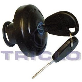 TRICLO 311737 Kraftstofftank CITROËN Berlingo / Berlingo First (MF, GJK, GFK)