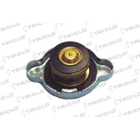 TRICLO 316453 Ekspansjonstank MAZDA 6 Station Wagon (GY) 2.3 162 hk Bensinmotor