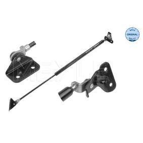 Köp Gasfjäder till baklucka av MEYLE 33-40 910 0000 till det låga priset 272,79&nbsp;kr