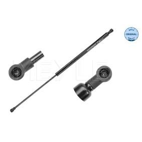 Heckklappendämpfer 40-40 910 0000 für CITROËN