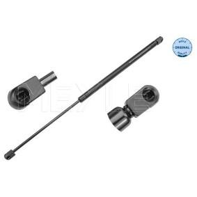 Heckklappendämpfer 40-40 910 0006 für CITROËN