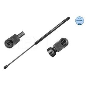 Heckklappendämpfer 40-40 910 0020 für CITROËN