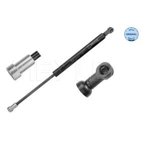 Heckklappendämpfer 40-40 910 0023 für CITROËN