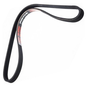 Acquista Cinghia servizi da MASTER-SPORT 4PK938-PCS-MS a buon mercato per soli 10,43&nbsp;&euro;