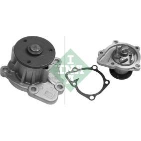 INA 538 0596 10 Pompe à eau HYUNDAI SONATA V (NF) 2.0 144 CV Essence
