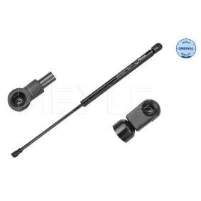 Heckklappendämpfer 540 910 0012 für VOLVO