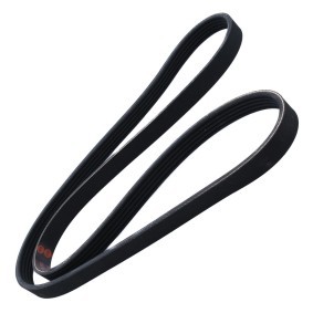 Acquista Cinghia servizi da MASTER-SPORT 5PK1255-PCS-MS a buon mercato per soli 10,07&nbsp;&euro;