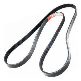 Acquista Cinghia servizi da MASTER-SPORT 5PK1635-PCS-MS a buon mercato per soli 12,16&nbsp;&euro;