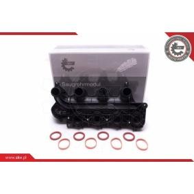 Achetez des Collecteur d'admission ESEN SKV 49SKV065 à prix pour 186,31&nbsp;&euro;