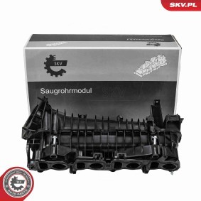 Achetez des Collecteur d'admission ESEN SKV 49SKV094 à prix pour 204,92&nbsp;&euro;