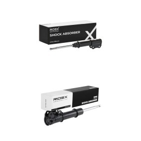 Compre Amortecedor da RIDEX 854S21024 a um preço baixo por 68,63&nbsp;&euro;