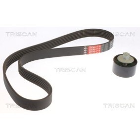 TRISCAN 8642 18003 Keilrippenriemensatz KIA PICANTO (TA)