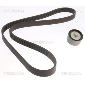 TRISCAN 8642 18005 Keilrippenriemensatz KIA PICANTO (TA)