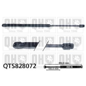 Heckklappendämpfer QTS828072 für MINI