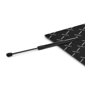 Köp Gasfjäder till baklucka av RIDEX 219G1024 till det låga priset 154,55&nbsp;kr