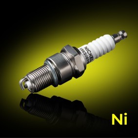 RIDEX PLUS 686S0011P Candele LAND ROVER Defender Pick-up (L316)