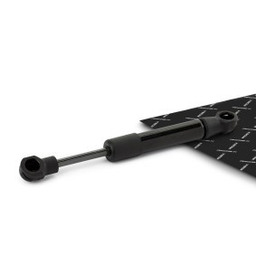 RIDEX 1207G0013 Gasfjäder, sufflett LAND ROVER