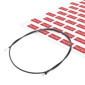 Motorhaubenzug 109 860