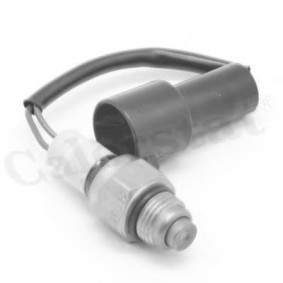 Acquista Termocontatto ventola radiatore da CALORSTAT by Vernet TS2911 a buon mercato per soli 26,55&nbsp;&euro;