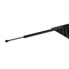 Compre Amortecedor da mala da RIDEX 219G1082 a um preço baixo por 14,04&nbsp;&euro;