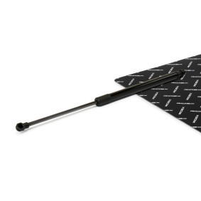 Compre Amortecedor da mala da RIDEX 219G1225 a um preço baixo por 7,78&nbsp;&euro;