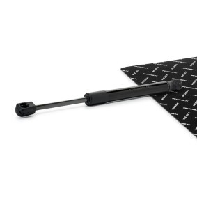 Compre Amortecedor da mala da RIDEX 219G1476 a um preço baixo por 19,57&nbsp;&euro;