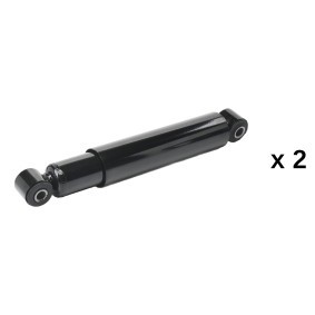 Compre Amortecedor da RIDEX 854S20954 a um preço baixo por 32,06&nbsp;&euro;