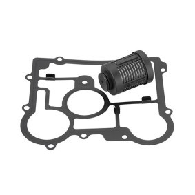 BorgWarner DS2006273 Hydraulikkfilter, haldex-clutch SAAB