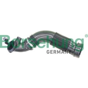 Borsehung B12325 Sugeslange, luftfilter VW Golf 7 Variant (BA5, BV5)
