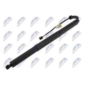 Kofferraum des Herstellers NTY - Originalware Artikelnummer: AE-VW-106