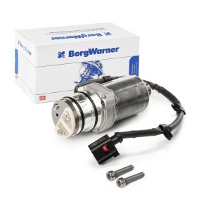 Acquista Pompa, frizione a lamelle-quattro ruote motrici da BorgWarner DS119866 a buon mercato per soli 204,19&nbsp;&euro;