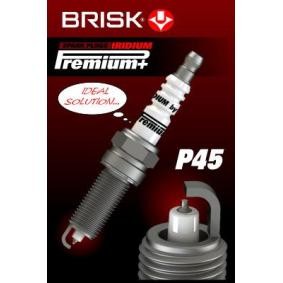 Zündkerze von BRISK 2100