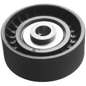 MAGNETI MARELLI 331316170145 Rodillo guía / desviación, correa trapecial LAND ROVER