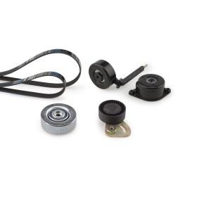 GATES K025PK2030 Kit de correa de alternador LAND ROVER