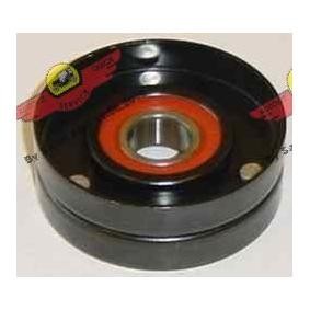 Comprar Polea inversión / guía, correa poli V de AUTOKIT 03.80209 a bajo precio de 78,78&nbsp;&euro;