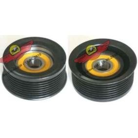 Comprar Polea inversión / guía, correa poli V de AUTOKIT 03.81555 a bajo precio de 91,03&nbsp;&euro;