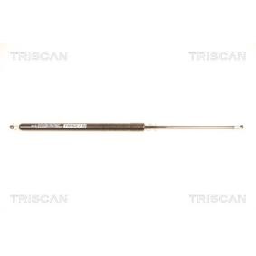 NISSAN Heckklappendämpfer von KAWE