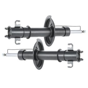 Compre Amortecedor da RIDEX 854S18389 a um preço baixo por 61,74&nbsp;&euro;