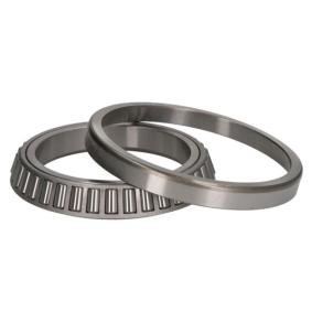 Achsschenkellager B05-AG-275